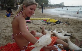 640-Hot-chick-wearing-sexy-swimsuit-have-fun-with-pigeons.jpg