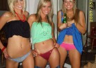 Wild chicks showing their undies