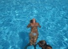 Naked beauty swimming topless in the pool